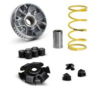 Malossi Wottan Motor Storm 125 5119867 Variator Kit