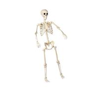 MALSSE Realistic Full Body Human Bone Halloweens Props Flexible Joints Portable Indoor Outdoors Decoration Sturdy Halloweens Skeleton With Adjustable Joints