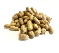 Maltbys' Stores 11.3kg Peanuts in Shells - Aflatoxin-Safe Monkey Nuts for Wild & Pet Bird Feeding [MCW]