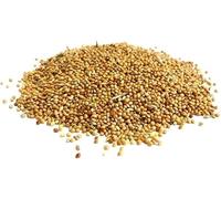 Maltbys' Stores 1904 Limited 2kg Budgie Seed Mixed Cage & Aviary Bird Food