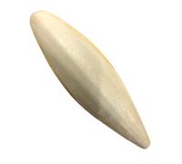 Maltbys' Stores 1x Cuttlefish Bone (approx. 9-15cm length) Ideal Dietary Supplement for Pet Birds & Reptiles (1x Pieces)