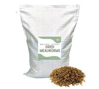 Maltbys' Stores 2kg Dried Mealworms | Premium Dried Mealworms for Wild Bird Feeding