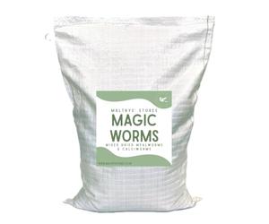 Maltbys' Stores 2kg Magic Worms Mixed Dried Mealworms & Calciworms Premium Wild Bird Food