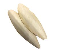 Maltbys' Stores 2x Cuttlefish Bone (approx. 9-15cm length) Ideal Dietary Supplement for Pet Birds & Reptiles (2 Pieces)