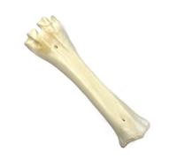 Maltbys' Stores 2x White Shank Bone 100% Natural Dog Treats Chews [DCP]