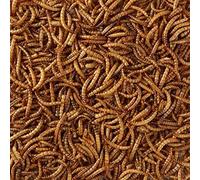 MALTBY'S STORES 4KG WILD BIRD DRIED MEALWORMS WILD BIRD FOOD