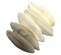 Maltbys' Stores 5x Cuttlefish Bone (approx. 9-15cm length) Ideal Dietary Supplement for Pet Birds & Reptiles (5 Pieces)