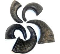 Maltbys' Stores 5x Small Buffalo Horns 100% Natural Dog Treats Chews [DCP]