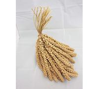 Maltby's Stores Standard Millet Sprays, 2 kg