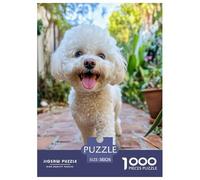 Maltese 1000 Pieces Jigsaw Puzzles Cute Animal Puzzle for Adults Staycation Kill Time Home Decoration Educational Games Gifts Age 14+ ForAdults 38x26cm/1000pcs