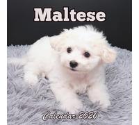 Maltese Calendar 2026: 12 Months Organizer From January to December