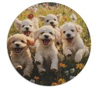 Maltese Dog 1000 Piece Round Jigsaw Puzzle for Adults Kids 14+ Geometric Creative Hard Challenge 1000pcs (67.5x67.5cm)
