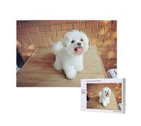 Maltese Dog,1000 Pieces Wooden Jigsaw Family Game Jigsaw Puzzles for Adults Teens Home Decor
