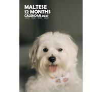 Maltese Dog A3 Calendar 2027, Wirobound, Full Colour (MPRA)