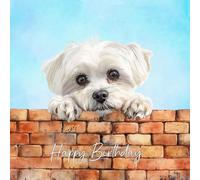Maltese Dog Art Square Birthday Card