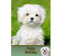 Maltese Dog Birthday Card