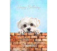 Maltese Dog Birthday Card for Stepbrother