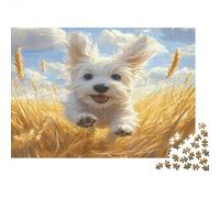 Maltese Dog Jigsaw Puzzles for Adults 1000 Piece, Adult Children Intellective Educational Toy DIY Collectibles Modern Home Decoration Jigsaw Puzzle 1000pcs (75x50cm)