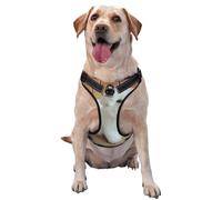 Maltese Dog,Pet Harness,Adjustable Reflective Dog Harness,Pet Leash Vest,M