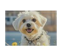 Maltese Dog Placemats 1PCS 17.4x12.1 Inch Rectangular Placemats Indoor/Outdoor Place Mats Heat Resistant Washable PVC Table Mats for Party Kitchen Dining Decoration