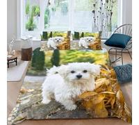 Maltese Dog Super King Size Duvet Cover Set Pet White Dog Bedding 3D Soft Comfort Microfiber Quilt Cover 220x260 cm with Zipper Closure and 2 Pillowcases for Kids Teenager Adults U.2477