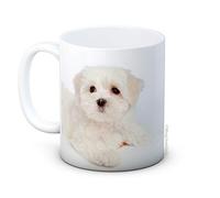 Maltese Terrier Dog Puppy - Bichon - Ceramic Coffee Mug