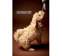 Maltipoo Calendar 2021: Monthly & Weekly Calendar and Planner | Diary Notebook | Dog Log Book
