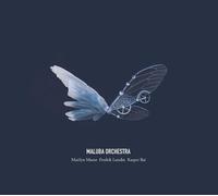 Maluba Orchestra Maluba Orchestra (CD) Album (US IMPORT)