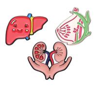 MALUGOGO 3pcs Heart and Lung Organ Brooch Pins Alloy Material Creative Decorative Personality Display Cute Pins for Backpacks or Clothing Accessories