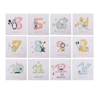 MALUGOGO Monthly Stickers 12pcs Paper Memorial Stickers with Assorted Colour for Tracking Growth and Photo Props, for Sharing Growth on Social Media