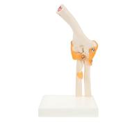 MALUGOGO Pvc Elbow Joint Bone Model Human Anatomical Skeleton with Six Major Joints Educational Plastic Elbow Bone Teaching Model for Medical Students