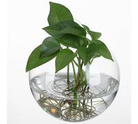 MALUGOGO Wall Hanging Planters High Transparency round 4pcs Glass with Smooth and Shiny Surface Elegant Design for Indoor Plants and Flowers in Offices or Home