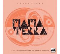 Mama Terra - Chameleons Interpretations Of Herbie Hancock)