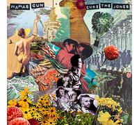 Mamas Gun - Cure The Jones [VINYL]