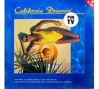 Mamas & The Papas, Sonny & Cher, Scott Mc Kenzie, Canned Heat, American Breed.. / Vinyl record [Vinyl-LP]