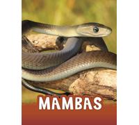Mambas