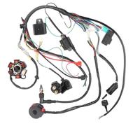 MAMEFVBB Motorcycle parts Ignition Coil Replacement For 50cc 70cc 90cc 110cc 125cc For Chinese Electric Start Quads Electrics Wiring Harness CDI Stator 6 Coil Kit
