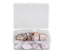 MAMJENNI Natural Shells for DIY, Crafting Supplies, Jewelry Making, Decorative Elements, Storage Box Included, Long-Lasting Material, Eco-Friendly Components