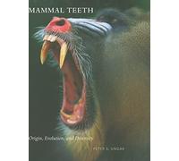 Mammal Teeth - Origin, Evolution, and Diversity