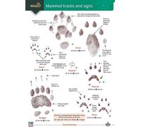 Mammal tracks and signs (WildID)
