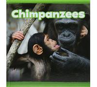 Mammals In the Wild: Chimpanzees