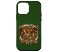 Mammoth Cave National Park Kentucky Novelty Souvenirs Case for iPhone 12 mini