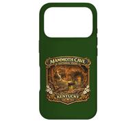 Mammoth Cave National Park Kentucky Novelty Souvenirs Case for iPhone 17 Pro