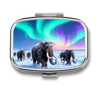 Mammoth Migration Pill Box Travel Pill Organizer 2-Compartment with Mirror Design Portable Square Medicine Case for Vitamins, Jewelry & Essentials Durable Pocket Pillcase for Purse, Camping