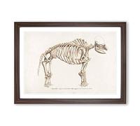 Mammoth Skeleton by Charles d' Orbigny Framed Print | A2 Walnut Framed Wall Art | Ready to Hang | Modern Nature Picture | Living Room Bedroom Lounge Office