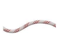 Mammut 10.0 Performance Static Rope White 400 m