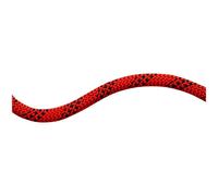 Mammut 10.5 Performance Static Rope