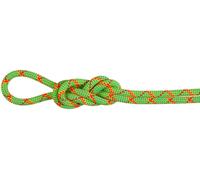 Mammut 8. 0 Alpine Core Protect Dry Rope -