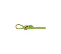 Mammut Alpine Core Protect Dry 8 Mm Rope Green 70 m