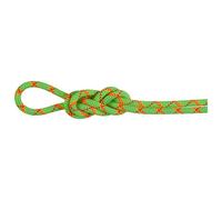 Mammut - 8.0 Alpine Core Protect Dry Rope - Half rope size 60 m, green